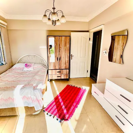 Villa Nova Vilă