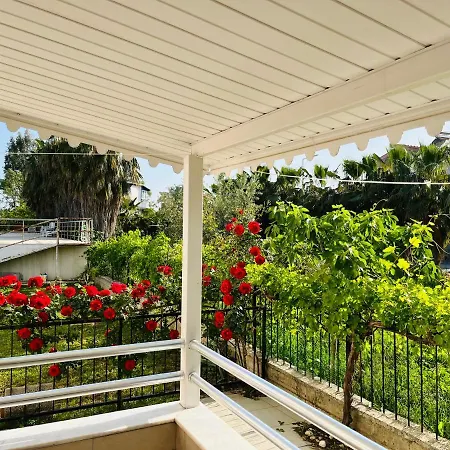 Villa Nova